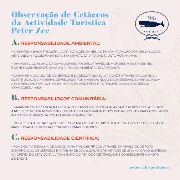 Observação de Cetáceos da Actividade Turística Peter Zee